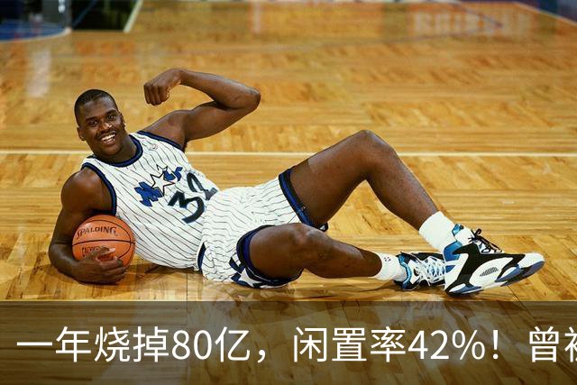 一年烧掉80亿，闲置率42%！曾被捧成香饽饽的生意，怎么不香了？