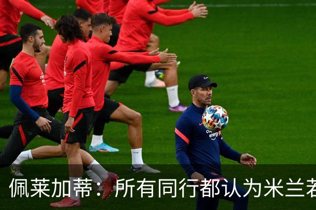 佩莱加蒂：所有同行都认为米兰若维持现有的阵容将会举步维艰