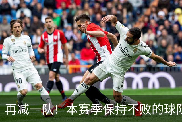 再减一队！本赛季保持不败的球队仅剩3支：火箭、灰熊、开拓者