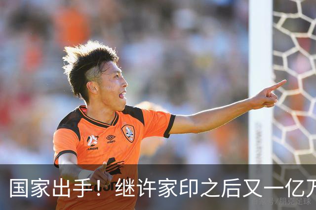 国家出手！继许家印之后又一亿万富豪落网，坑害百姓、恶行累累