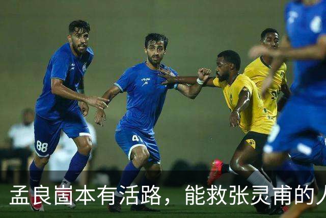 孟良崮本有活路，能救张灵甫的人却被自己人一脚踢开