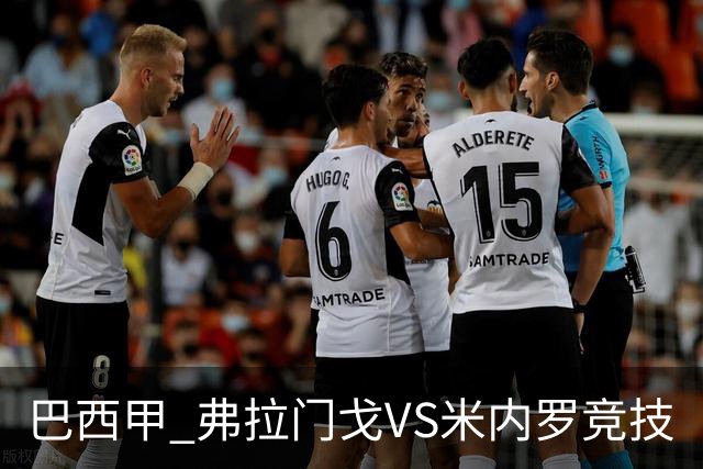 巴西甲 弗拉门戈VS米内罗竞技