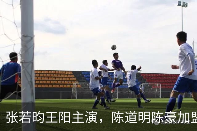 张若昀王阳主演，陈道明陈豪加盟，国产谍战剧终于迎来高潮