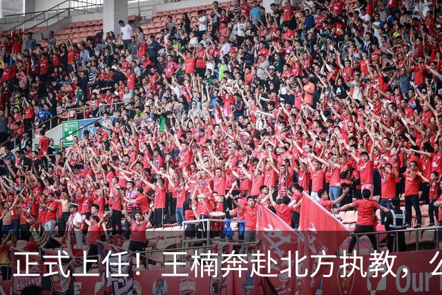 正式上任！王楠奔赴北方执教，公开长远规划，大魔王这次来真的