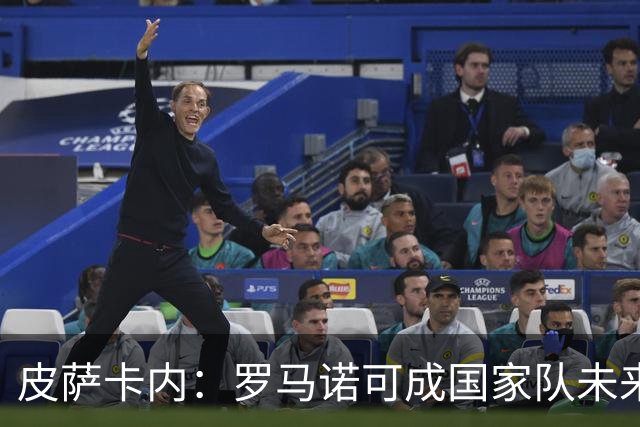 皮萨卡内：罗马诺可成国家队未来