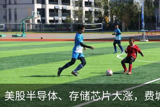 美股半导体、存储芯片大涨，费城半导体指数涨近400点，西部数据涨近7%，AMD涨超5%，特斯拉市值一夜涨超4600亿元