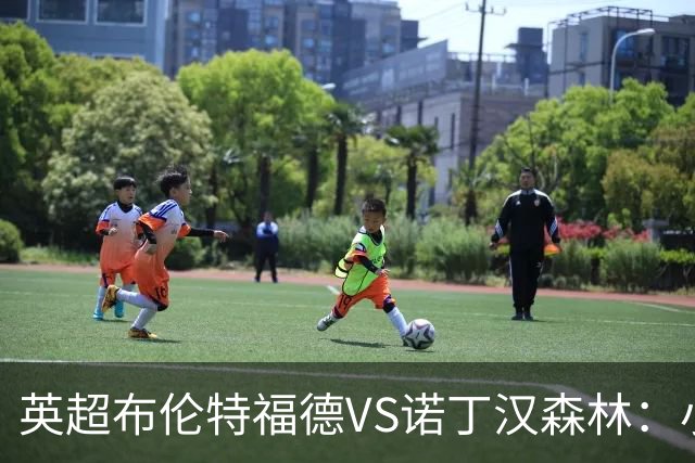 英超布伦特福德VS诺丁汉森林：小蜜蜂主场控场，森林绝境求生