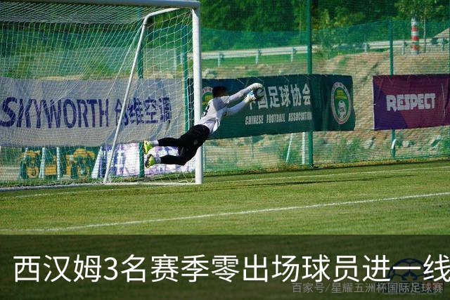 西汉姆3名赛季零出场球员进一线队合照，球迷调侃：签新人了?
