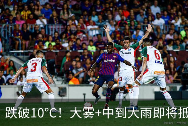 跌破10℃！大雾+中到大雨即将抵达