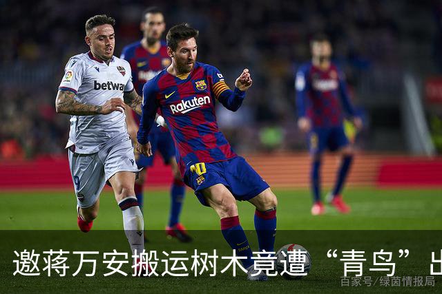 邀蒋万安搬运树木竟遭“青鸟”出征，清洁队长：我好内疚、很难过