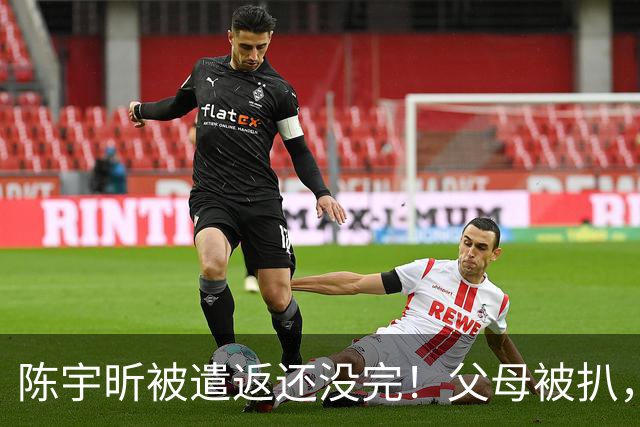 陈宇昕被遣返还没完！父母被扒，扬州公司洗白?背后的人憋不住了