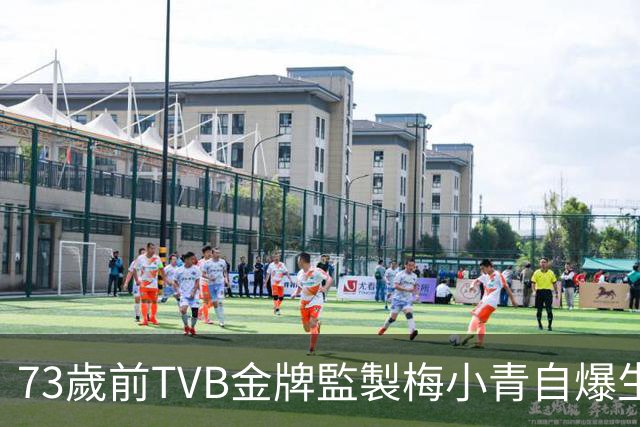 73歲前TVB金牌監製梅小青自爆生蛇 曾患膀胱癌險中風切除子宮