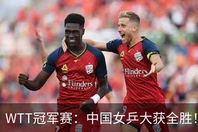 WTT冠军赛：中国女乒大获全胜！16强占6个席位，陈幸同剃对手光头